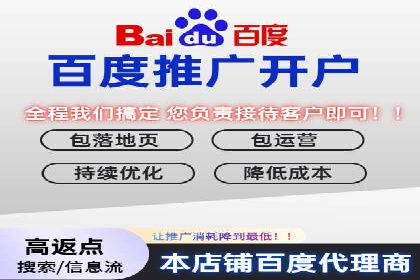 实战技巧：竞价推广案例解析与优化策略